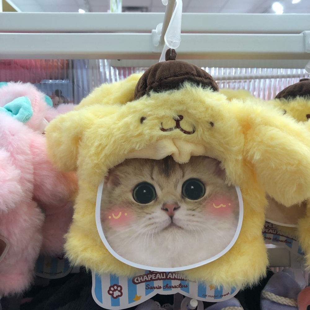pompompurin cat headwear